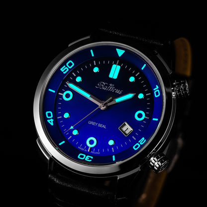 Balticus Grey Seal (Blue) - BLT-BALGSBL - SET