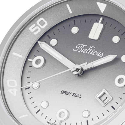 Balticus Grey Seal (Grey) - BLT-BALGSRG - SET