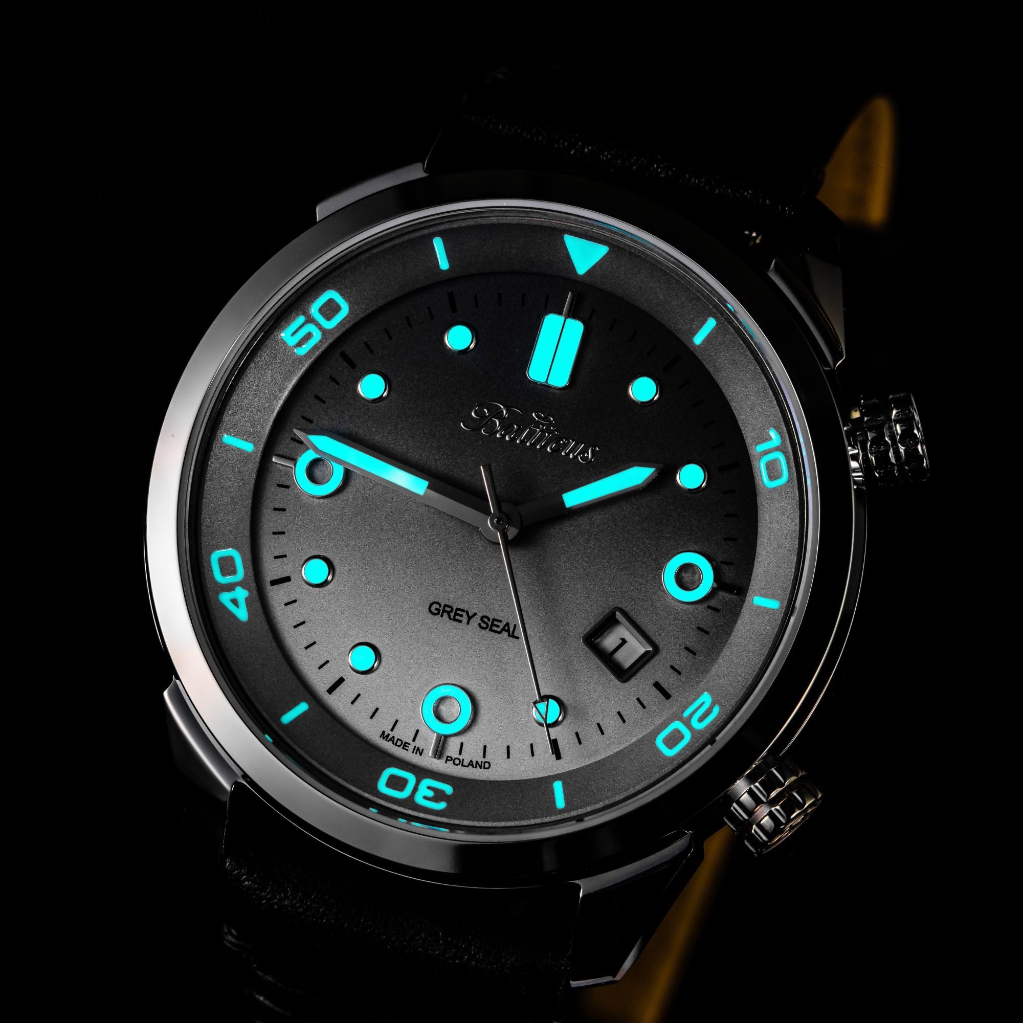 Balticus Grey Seal (Grey) - BLT-BALGSRG - SET